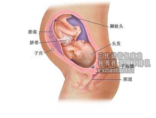 代生产子公司招代生女人,武汉哪里找人代生宝宝,2022中信湘雅医院做第三代试管