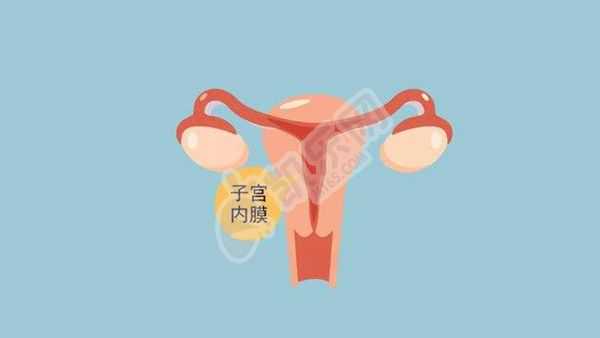单身试管助孕生男孩,助孕价格费用是多少,子宫内膜异位症的后果是什么？子宫